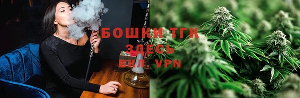 молекула духа Михайлов