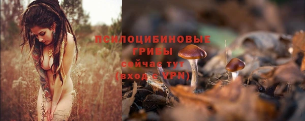 скорость Михайловск
