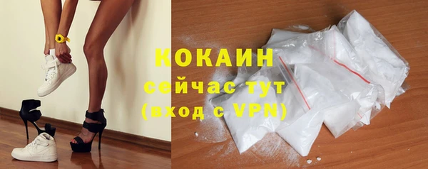 молекула духа Михайлов
