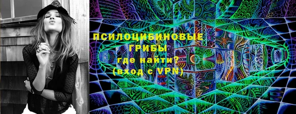 молекула духа Михайлов