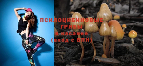 молекула духа Михайлов